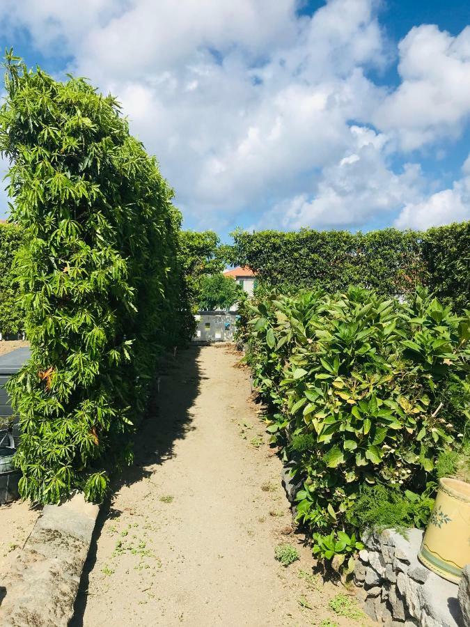 Casas Da Quinta Βίλα Ribeira Grande Εξωτερικό φωτογραφία